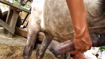 Zoo porn 2026: furry sex zoo