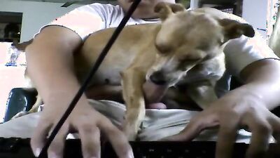 Dog porn: bestiality zoo porno