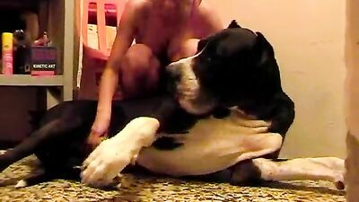 3d dog sex: team russia zoo video
