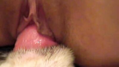 3d dog sex: team russia zoo video