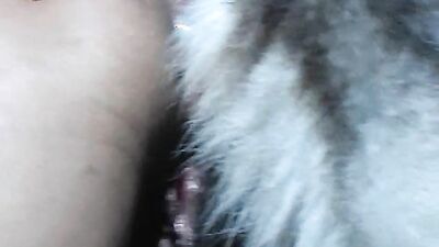 Animal dog sex: video bokep sex animals