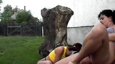 Bestiality porno: zoo sex school