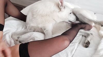 Girl dog video: porn animal pass com