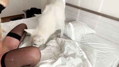 Girl dog video: porn animal pass com