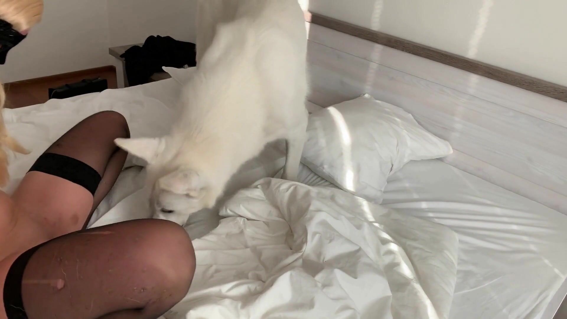Girl dog video: porn animal pass com