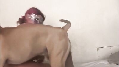 Zoo porn man: tik zoo porn