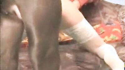 Teen dog sex: porn dog first