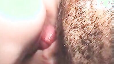 Zoo video: zoo gay porno animals