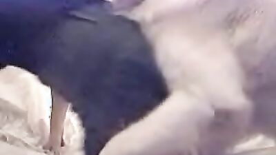 Girl dog video: zoo bestiality homemade