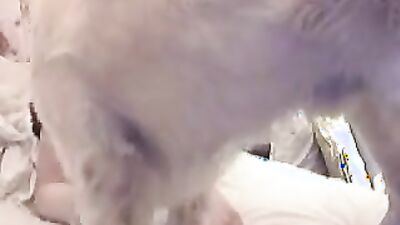 Girl dog video: zoo bestiality homemade