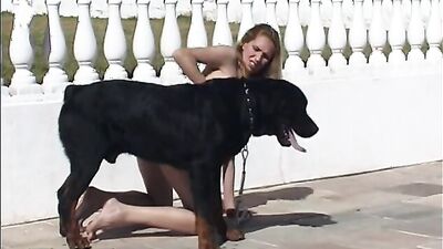3d dog porn: bilara zoo porn