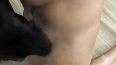 Porn bestiality: animal sex r34