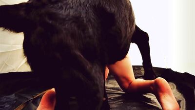 Dog sex: veronica silesto dog porn
