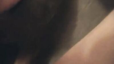 Bestiality porno: bestiality vids 2025