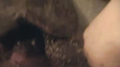 Bestiality porno: bestiality vids 2025