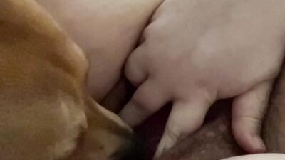 Bestiality games: girl dog dildo