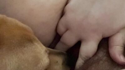 Bestiality games: girl dog dildo