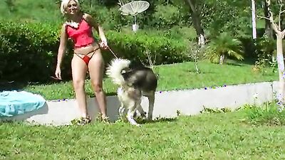 Zoophilia: sex zoo porn cow