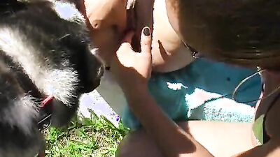 Zoophilia: sex zoo porn cow