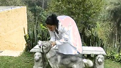 Dog's porn: porn zoo dog compilation hd free