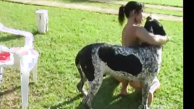 Dog sex porno: 2 men fucking a dog zoos porn