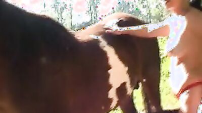 Dog's porn: dog french kiss porn