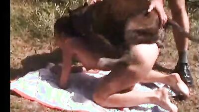 Zoo sex video: tomb raider dog sex