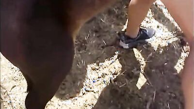 Zoo sex: pornovolk video zoo