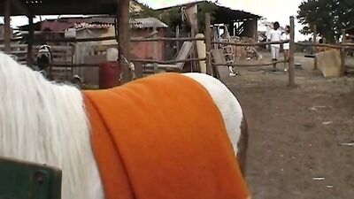 Zoo video: dog licking teen porn