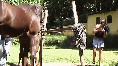 Bestiality dog: zoo sex 34