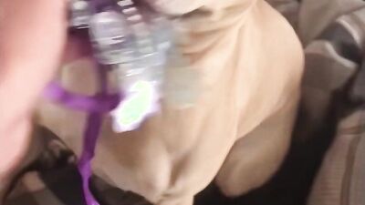 Bestiality dog: zoo sex 2026