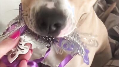 Bestiality dog: zoo sex 2026