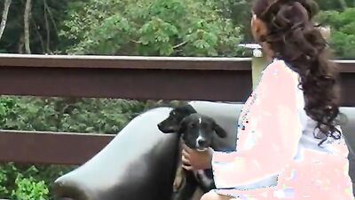 Zoo dog sex: porn mujer asiatic boar zoo