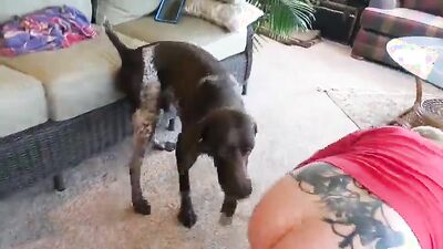 Zoo fuck porn: sex animal matures