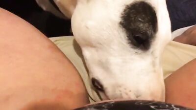 Animal cross porn: zoo woman sex porn games