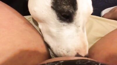 Animal cross porn: zoo woman sex porn games