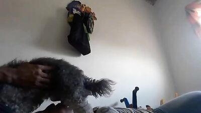 Bestiality porn: artofzoo yasmin sex zoo