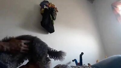 Bestiality porn: artofzoo yasmin sex zoo