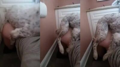 Mimi dog porn: mans kissing gay sex with dog