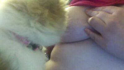 Fucking dogging porn: shantal zoo porn