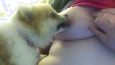 Fucking dogging porn: shantal zoo porn