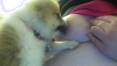 Fucking dogging porn: shantal zoo porn