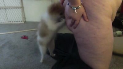 Dog get girl: brazilian zoo porn