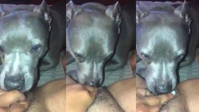 Teen dog sex: dog sex mix