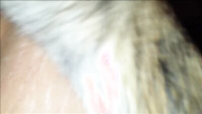 Animal dog sex: zoo porn free download