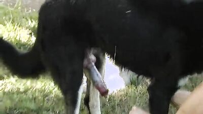 Teen zoo porn: porn zoo pet