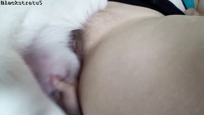 Zoophilia porn: hentai bestiality r34 com