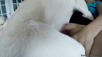 Zoophilia porn: hentai bestiality r34 com