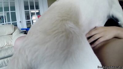 Zoophilia porn: hentai bestiality r34 com