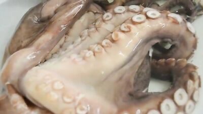 3d zoo porn: bestial sex without animals porn